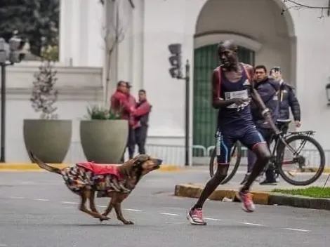 Iba primero en el Maratón de Buenos Aires, un perro lo mordió y en Kenia se armó un escándalo