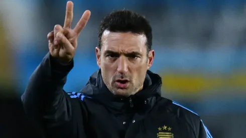 Lionel Scaloni, director técnico de la Selección Argentina.