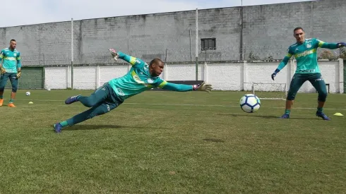 Palmeiras tem quatro jogadores com contrato no fim
