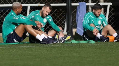 Empresário de meia do Palmeiras oferece jogador ao Santos