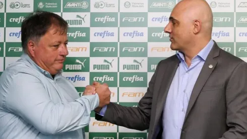 Foto: Cesar Greco / Ag Palmeiras