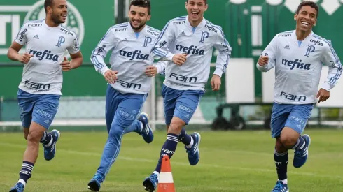 Divulgação/Palmeiras