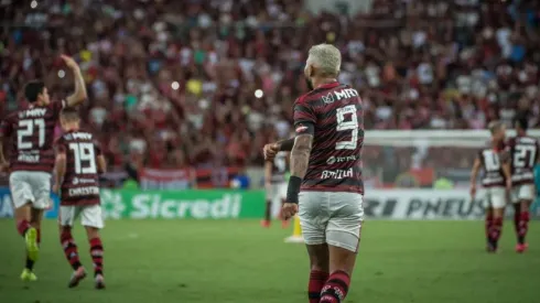 Landim alerta sobre incêndio: