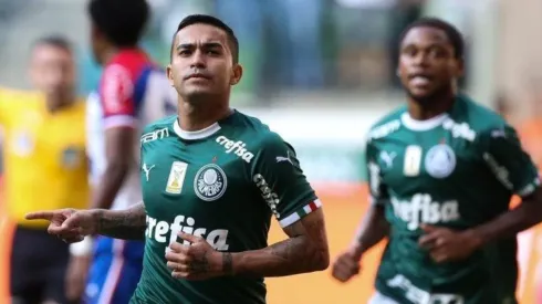 Foto: Cesar Greco/Palmeiras/Divulgação