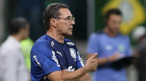 Foto: Cesar Greco/Palmeiras/Divulgação