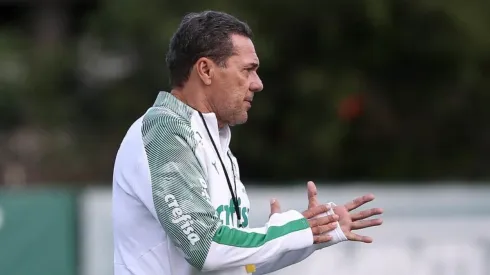 (Foto: Cesar Greco/Palmeiras)