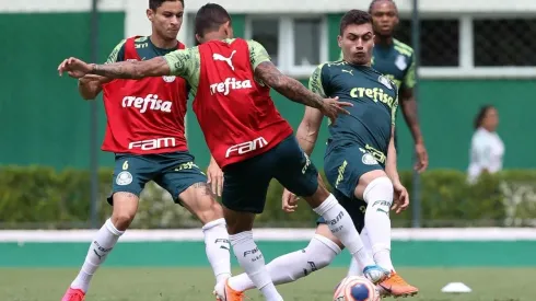 Palmeiras tem 5 candidatos para ficar de fora da Libertadores (Foto: Cesar Greco/Palmeiras/Divulgação)