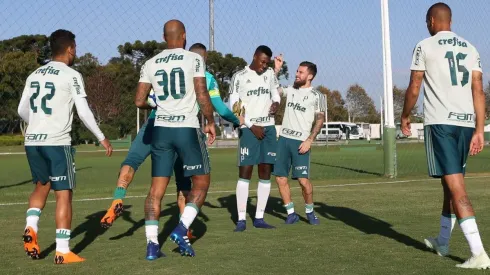 Medalhão palmeirense deve jogar contra a Ferroviária