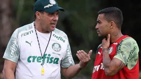 Cesar Greco/Palmeiras