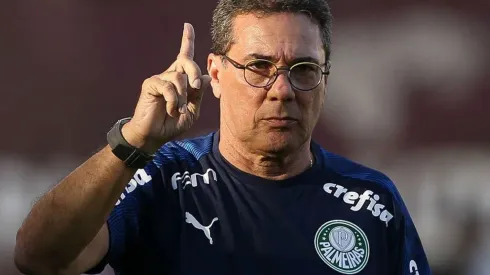 Luxa está em sua quinta passagem pelo Palmeiras - (Foto: Cesar Greco)