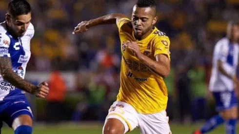 Foto: Divulgação/Tigres