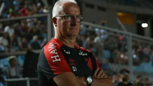 Foto: Miguel Locatelli/Site Oficial