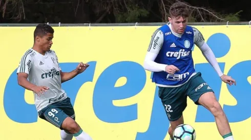 Foto: Palmeiras/Divulgação