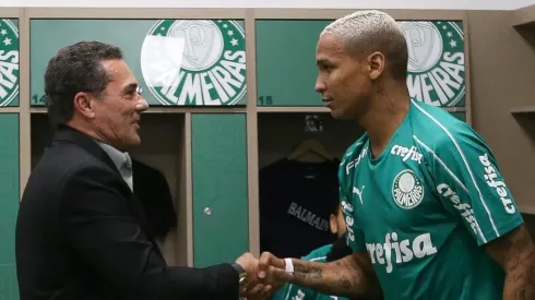 Foto: Palmeiras/Divulgação