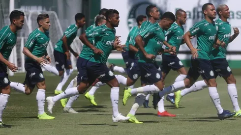 Divulgação/Palmeiras