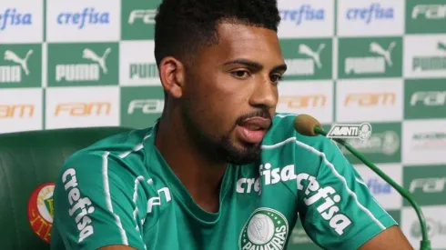 Palmeiras/Divulgação