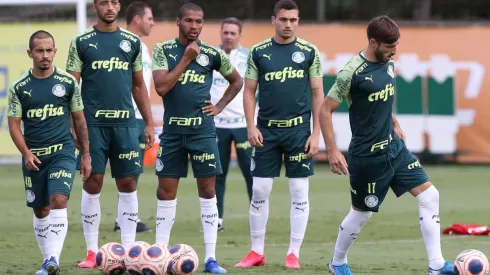 Cesar Greco/Palmeiras