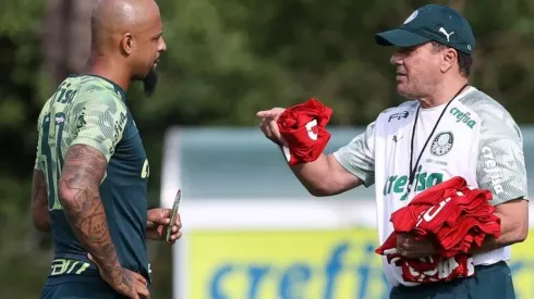 Foto: Cesar Greco/Ag. Palmeiras.