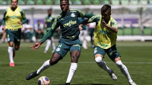 Cruzeiro entra em contato com o Palmeiras por reforço para a defesa