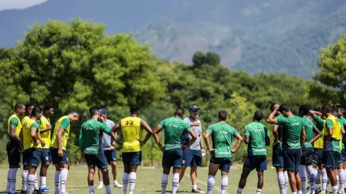 Foto: Lucas Merçon/Fluminense F.C./Divulgação