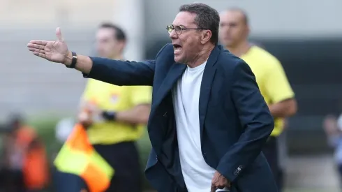 Cesar Greco/Palmeiras