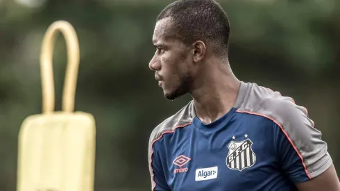 Foto: Ivan Storti/Santos FC