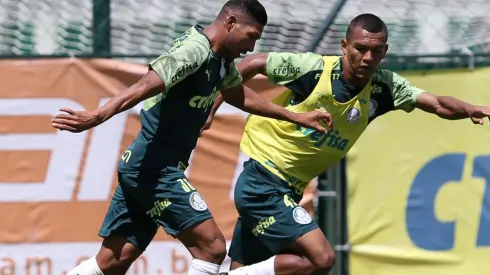 Cesar Greco/Palmeiras