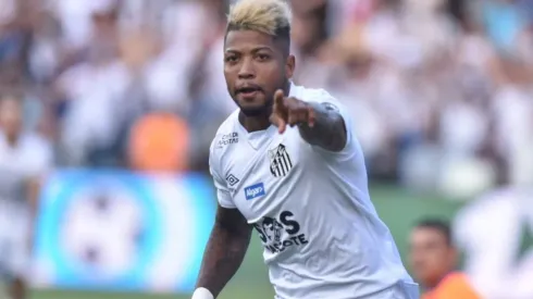 Foto: Ivan Storti/Santos FC