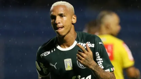 Divulgação/Palmeiras