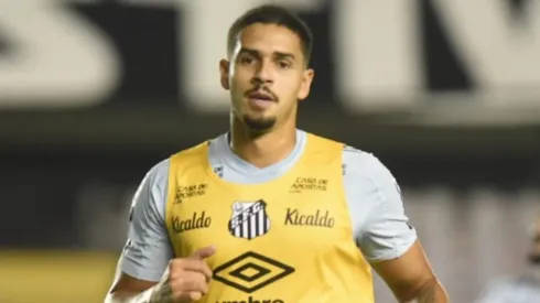 Foto: Ivan Storti/Santos FC