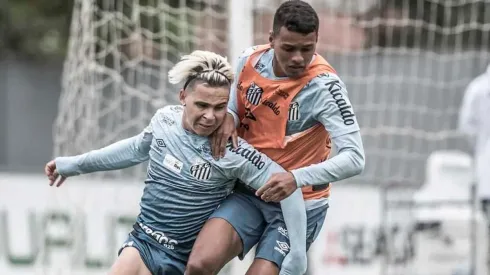 Foto: Ivan Storti/Santos FC