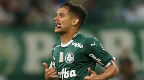 Cesar Greco/Palmeiras