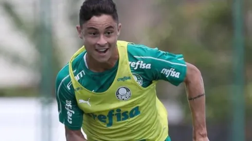 Divulgação/Palmeiras