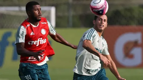 Foto: Cesar Greco/Palmeiras