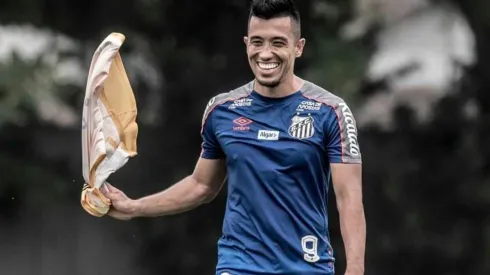 Foto: Ivan Storti/Divulgação SFC