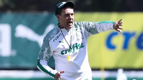 Cesar Greco/Palmeiras