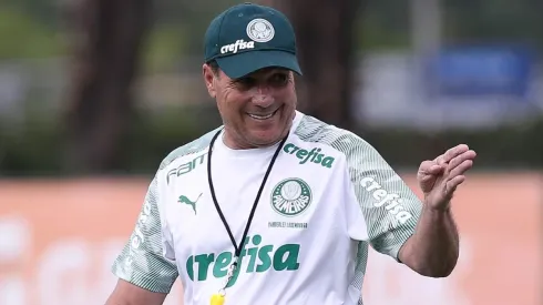 Cesar Greco/Palmeiras