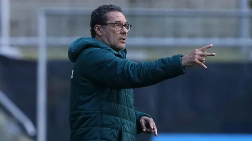 Cesar Greco/Palmeiras