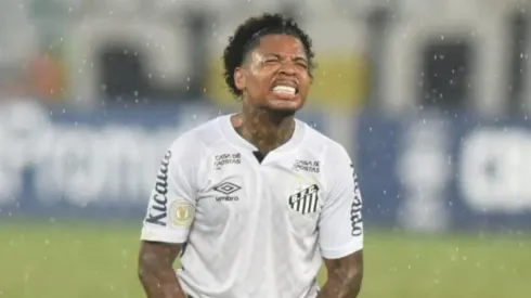 Foto: Ivan Storti/Santos FC