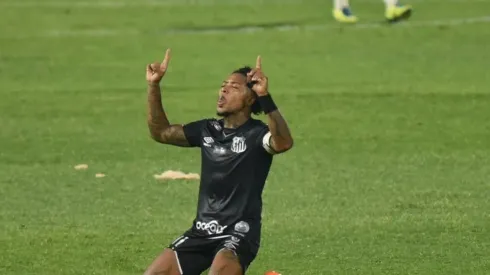 Foto: Ivan Storti/Santos FC