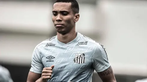 Foto: Ivan Storti/Santos FC