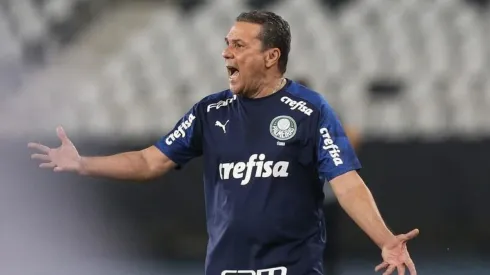 (Foto: Cesar Greco/Palmeiras)