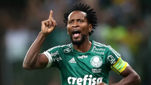 Zé Roberto relembra momento marcante pelo Verdão e afirma que sente falta de defender o clube nos jogos