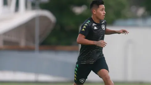 Lecaros, atuando com pouca frequência, também foi lembrado pelo dirigente. Foto: Vitor Silva/Botafogo