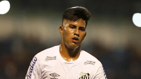 Foto: Pedro Ernesto Guerra Azevedo/Santos FC