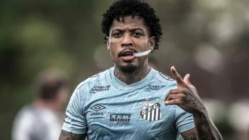 Marinho é o principal destaque do Peixão — Foto: Ivan Storti/Santos FC