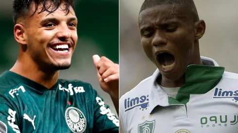 Palmeiras x América-MG têm encontro marcado nesta quarta-feira (23), pela Copa do Brasil