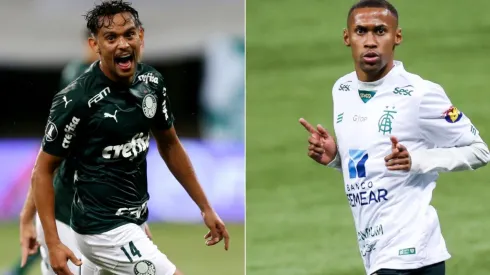 América-MG x Palmeiras se enfrentam nesta quarta, a partir das 21h30 pela Copa do Brasil - (Getty Images)