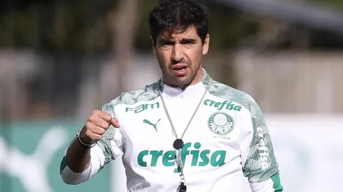 (Foto: Cesar Greco/Palmeiras)