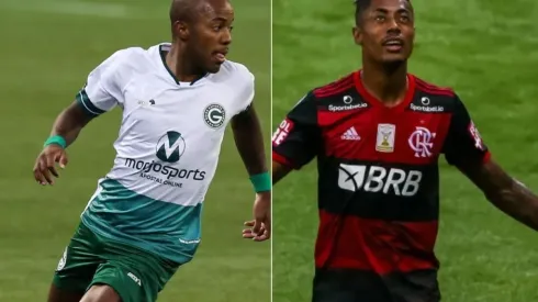 Goiás x Flamengo: como assistir essa grande partida AO VIVO na TV e ONLINE